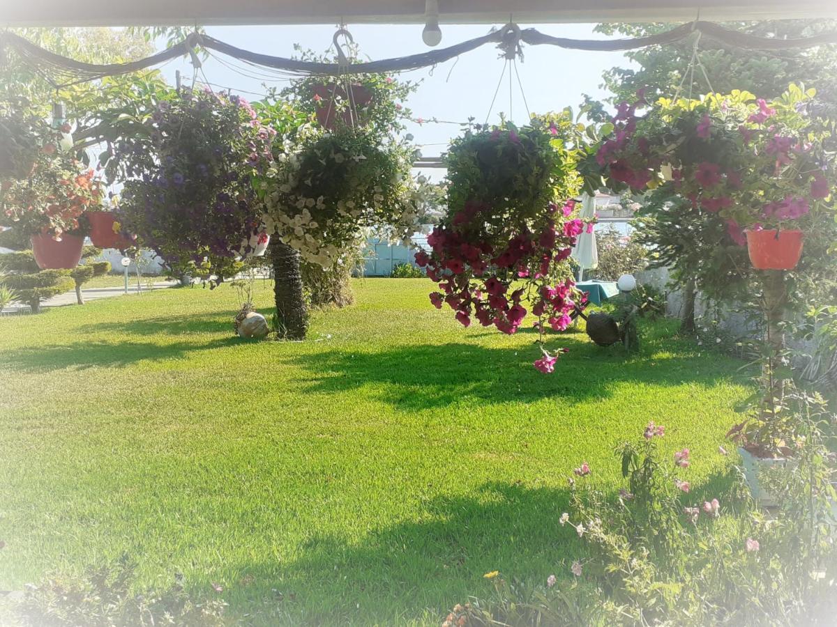 Top Floor On Villa, 3' From Center, By The Sea! Host Is Efi Kwsta Preveza Exterior foto